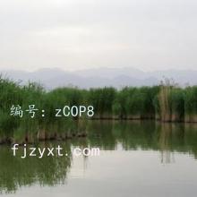 ļ