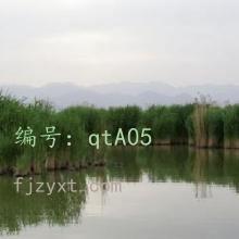 ĺ֮